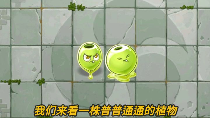 Pvz2植物测评 火焰植物都能点燃油橄榄？截图
