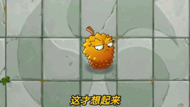 Pvz2植物测评 4阶的榴莲有多大作用?截图