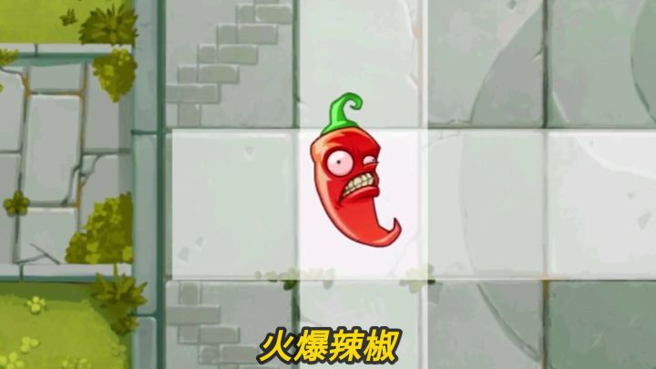 Pvz植物测评 3阶火爆辣椒有多好用?截图