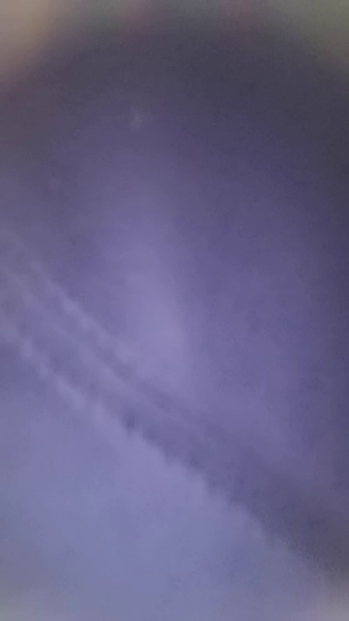 video-3231237