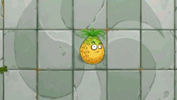 Pvz2植物测评 4阶旋转菠萝有何大用呢?截图