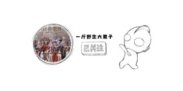 新手必看的全活动指引
