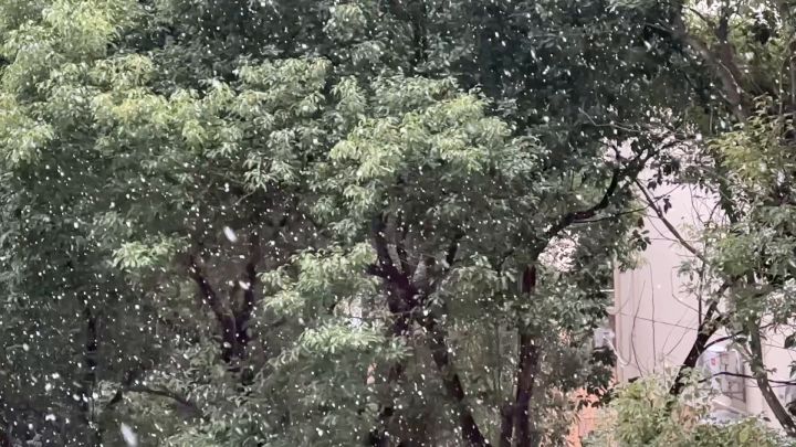 昨天刚和三排说上海不怎么会下雪 今天就下了😋截图