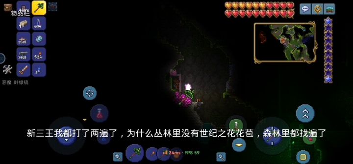 为什么,没有刷新世纪之花花苞截图
