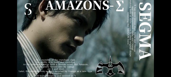 AMAZON——∑(西格玛)截图