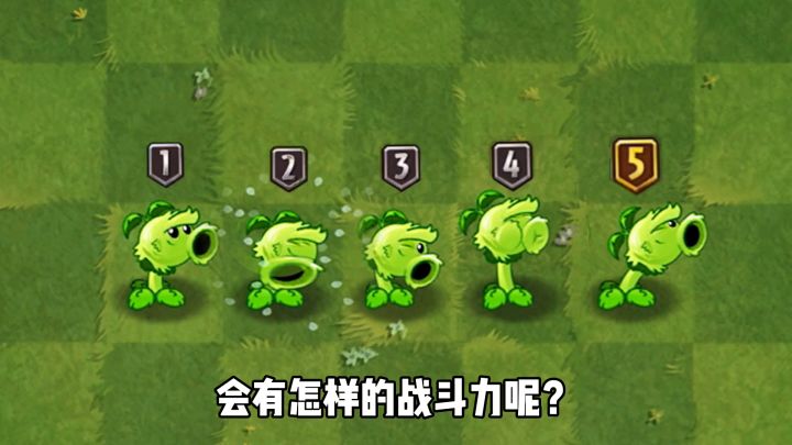 pvz2蓝卡的巅峰原始豌豆1～5阶测试截图
