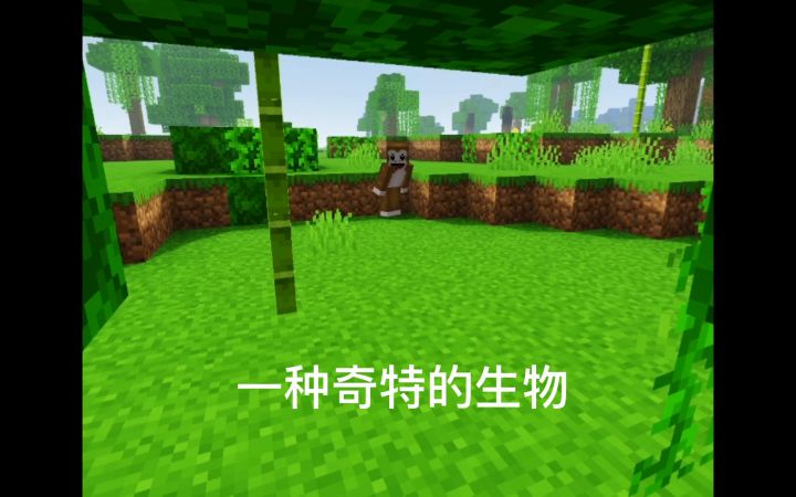 猴猴传记截图
