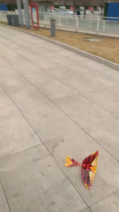 给大家看看我的雄火龙截图