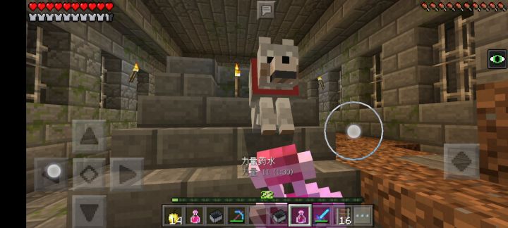 生存首次通关Minecraft(挑战每通关一次就更新下个版本截图