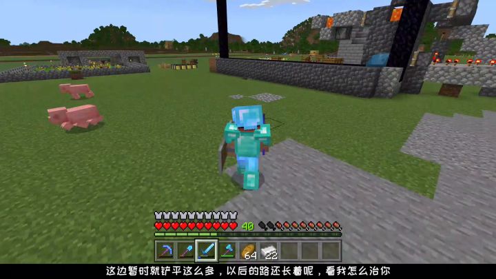 我的世界生存第五期中截图