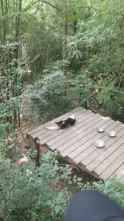 啦啦啦啦啦一起修仙截图