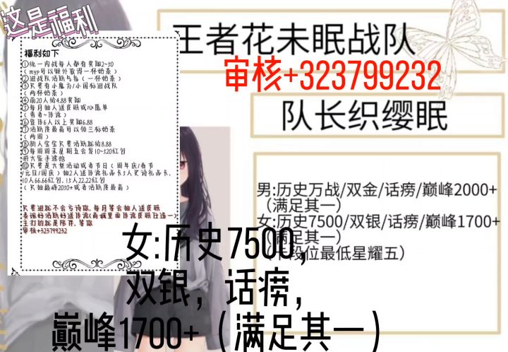 花未眠战队截图