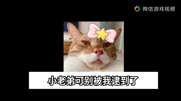 求针对截图