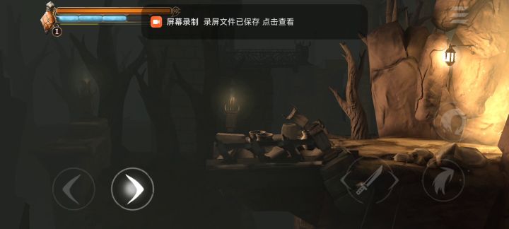 也是发给一个人看的，哈哈截图