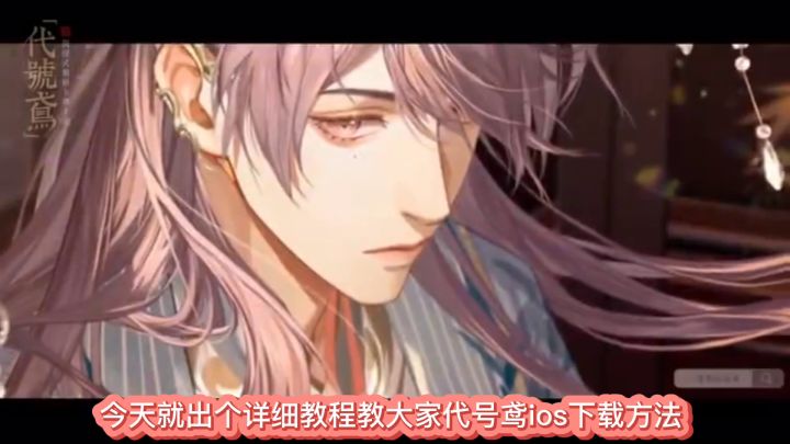 ios宝子速看!代号鸢苹果ios进游戏必备!截图
