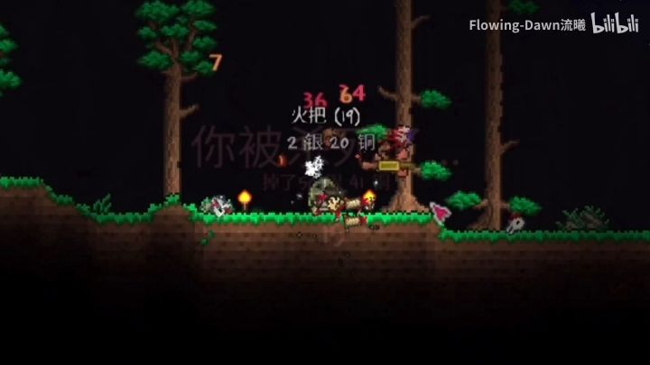 泰拉瑞亚战士的一生截图