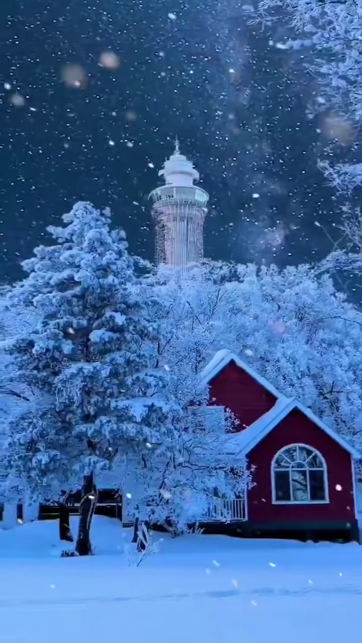 游戏视频截图