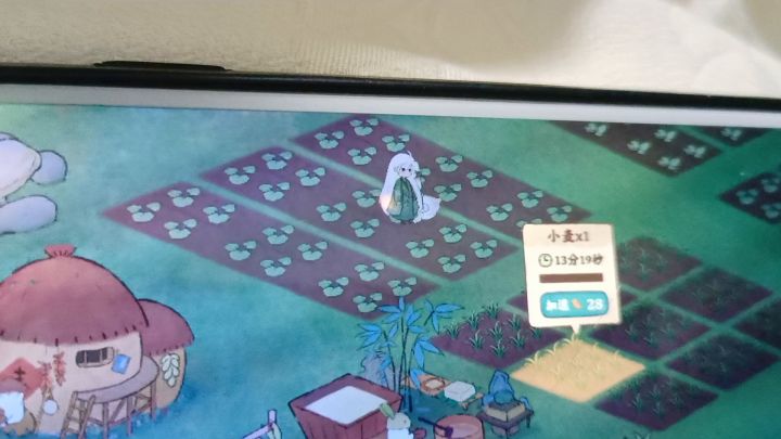 小麦14分钟??截图