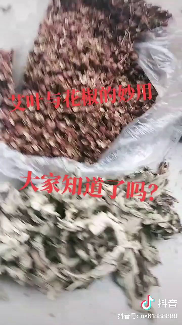 画的好v姑v个截图