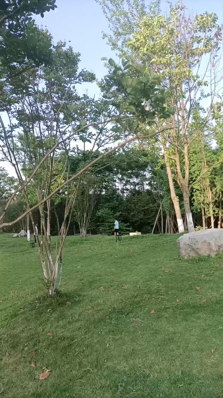 我妈拍的截图