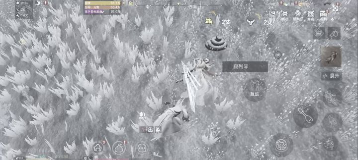 捡了个尸体，给她做个法截图