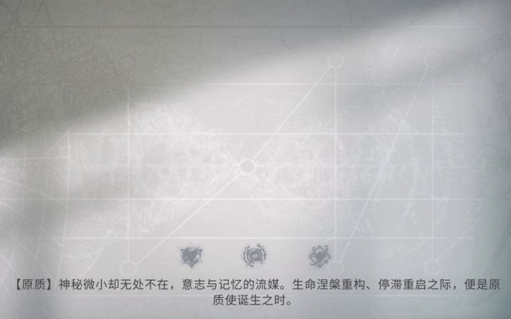 最后一天，记录下我的四大天王！！截图