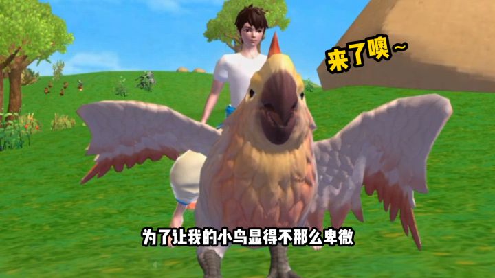 【创造与魔法】平民坐骑性价比搭配!从此告别“移速焦虑”截图