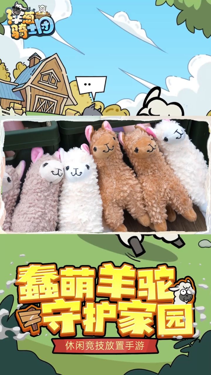 小长假之特种羊!小羊驼假期实录截图
