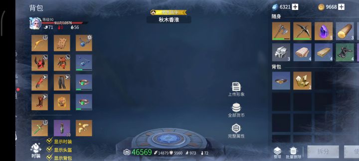 冰原守卫者，悬崖大鸟截图
