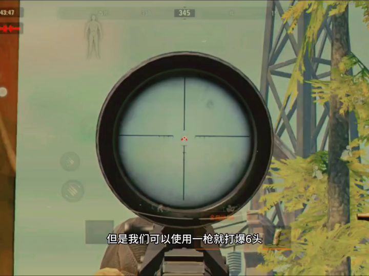大狙界新宠,法老大狙了解一下截图