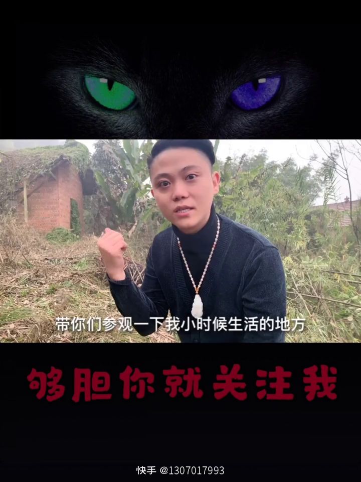 鸿家军截图