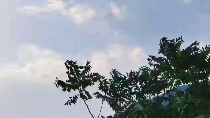 泰裤辣截图