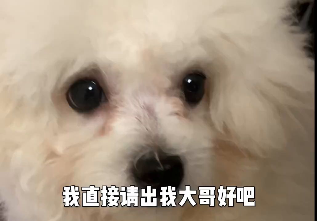 video-3488366