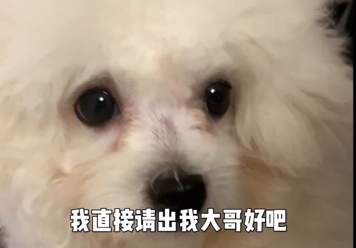 首款升级枪械皮肤截图