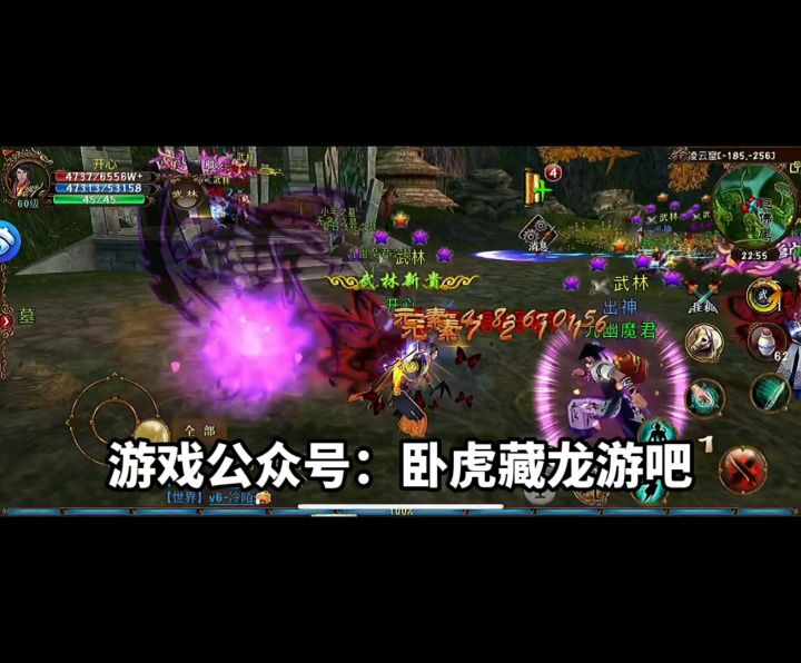 卧虎藏龙3d武侠手游天花板截图