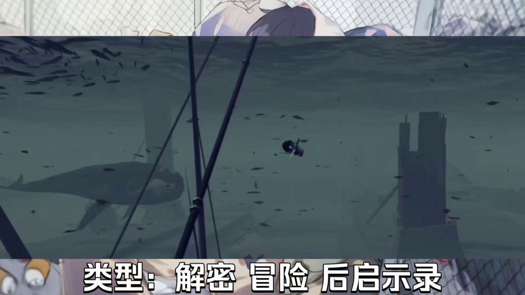 video-3510201