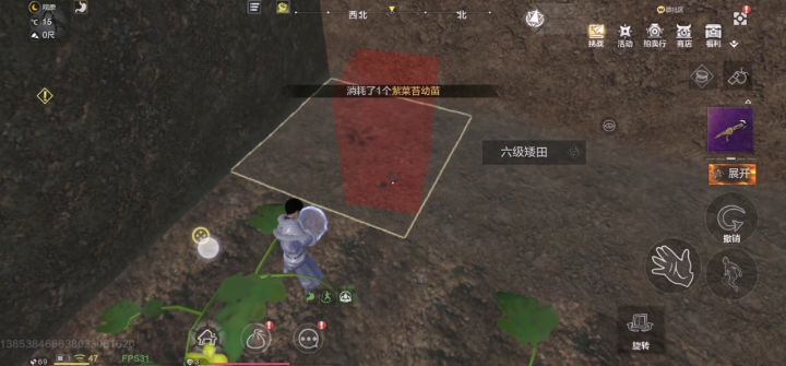 原来种植物也占结构截图