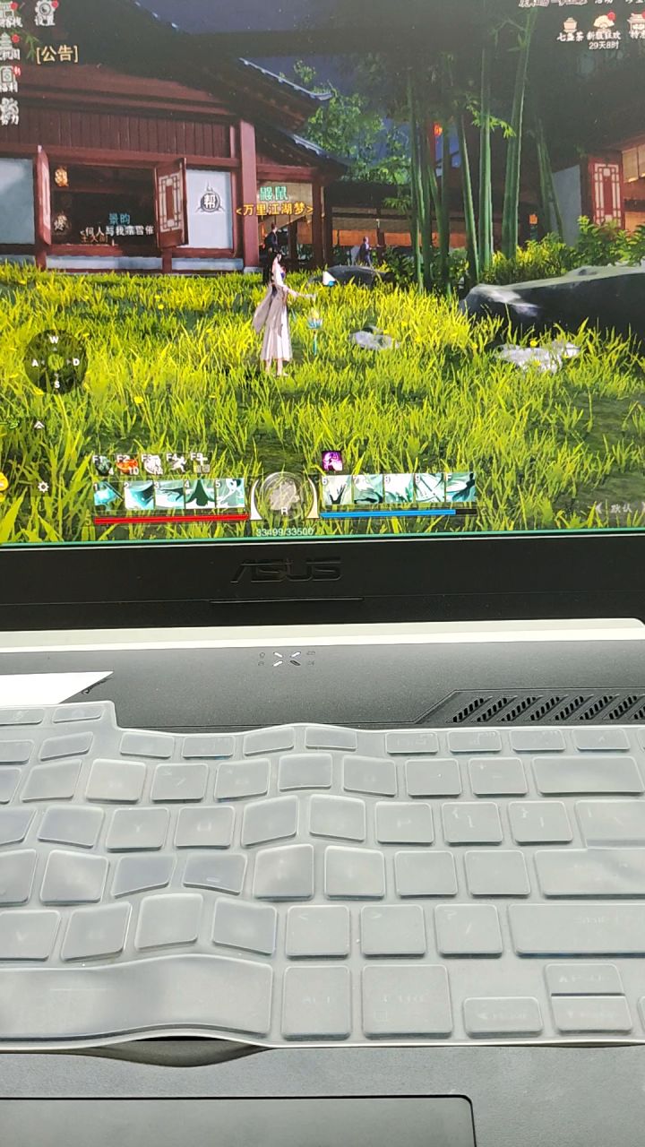 用电脑玩,怎么按WASD无法移动,截图