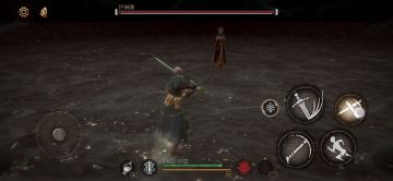 关于伊琳娜的非弹反回合制打法(可能不通用)