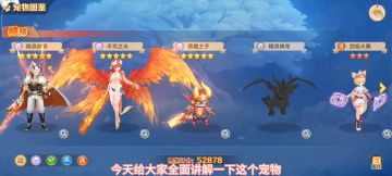 宠物主战辅助怎么选择搭配，附灵与链接怎么选，看完你就会了！