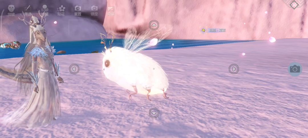 video-3563506