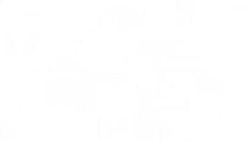 摆脱打工人！周五来欣赏一下动物城的世界