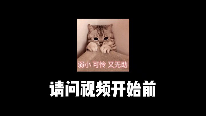 《 换 装 达 人 》截图