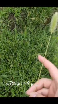 坐等老迈重启代号，新游戏还要等三到六个月，给大伙唱首歌听听吧