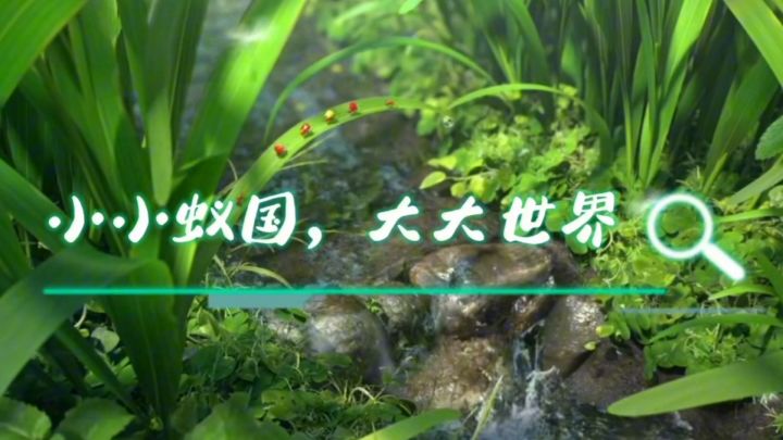 【小小蚁国】蚂蚁王国历险记截图