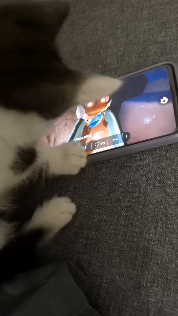 夭寿了我姐家的猫都会玩光遇截图