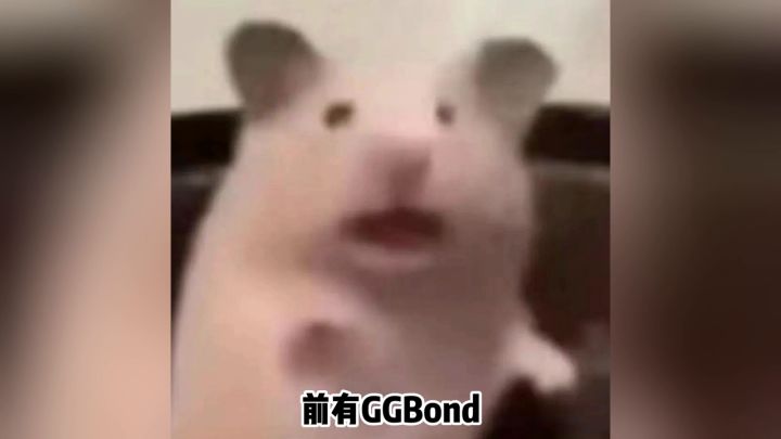 动画界的清流出手游啦截图
