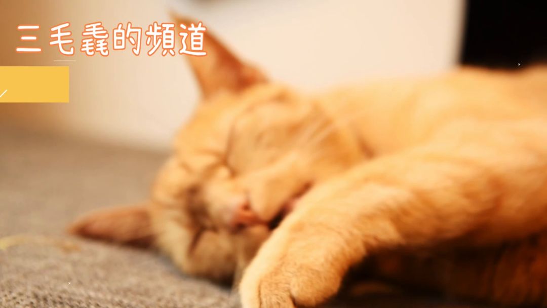 「65级难度神兵试炼3」贝拉、科尔双五星爽快实战截图