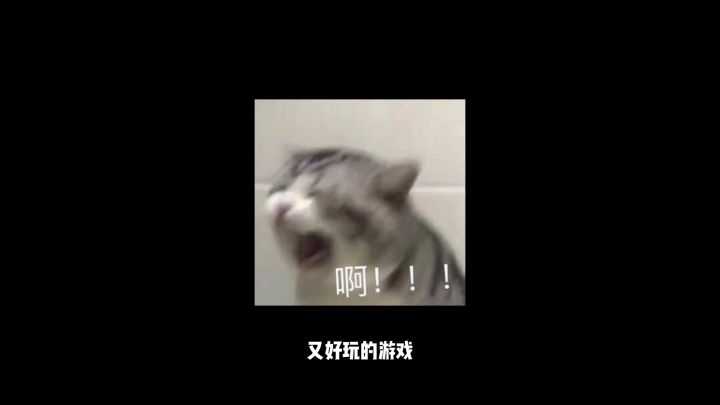 没日没夜游历江湖,到头来得到这些东西.......截图