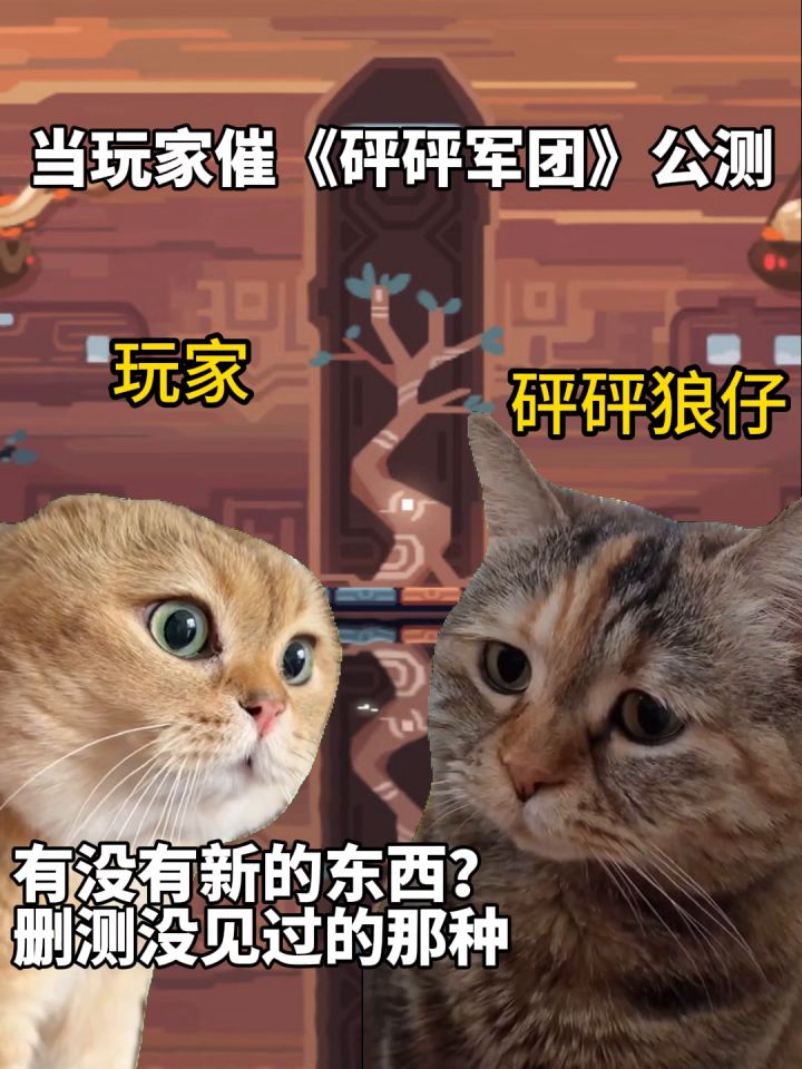 当村长们催《砰砰军团》公测......截图
